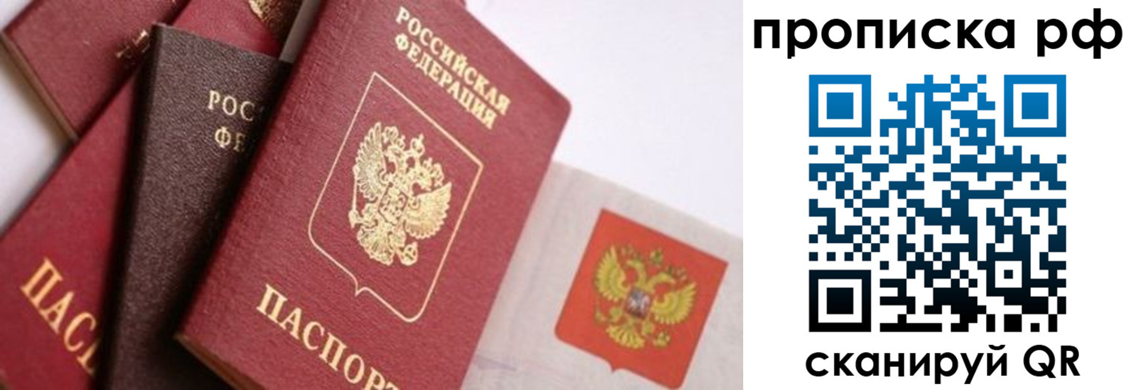 найти адрес прописки в Петропавловске-Камчатском